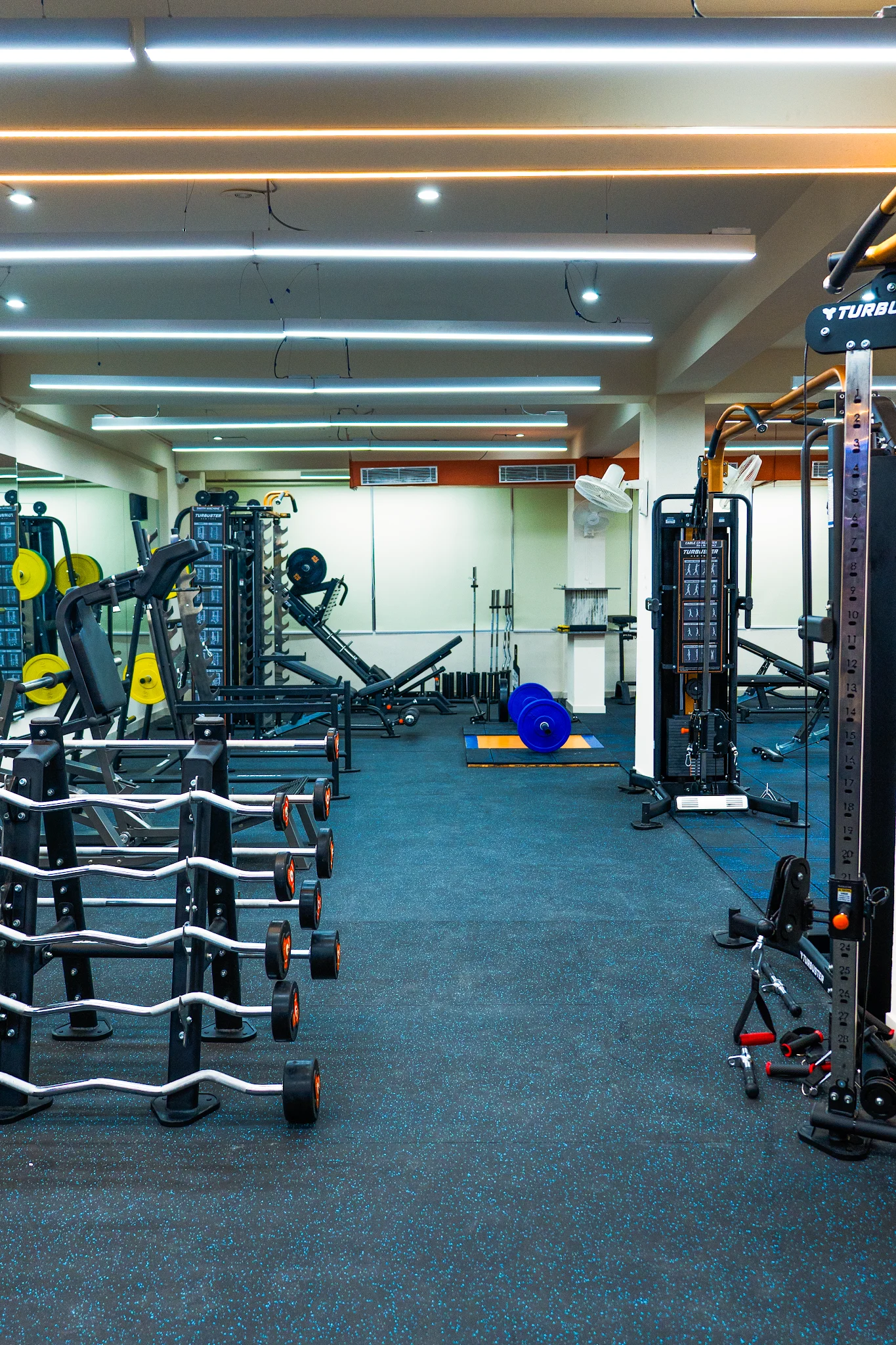 Weights and strength equipment at Leo Fitness